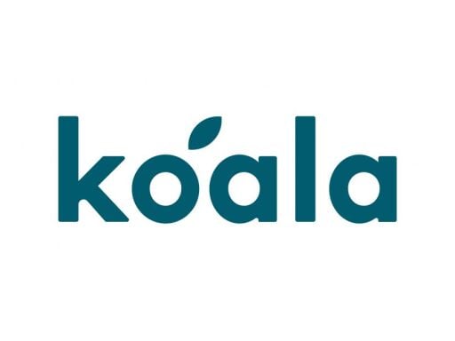koala 