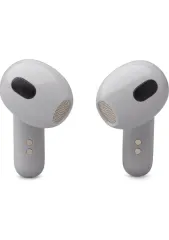 JBL Live Flex 3 Kulakiçi Bluetooth Kulaklık Silver