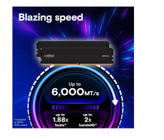 Crucial Pro 48GB (2x24GB) DDR5 6000MHz CP2K24G60C48U5 Soğutuculu RAM