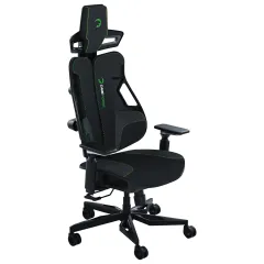 Gamepower Throne Siyah/Yeşil Oyuncu Koltuğu