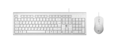 LENOVO LECOO CM101 BEYAZ USB Q TYPE KLAVYE+MOUSE