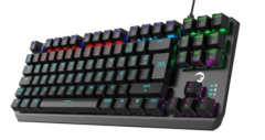 GAMEPOWER OVERLORD 60M RED SWITCH 88 MEKANİK GAMING KLAVYE