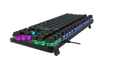 GAMEPOWER OVERLORD 60M RED SWITCH 88 MEKANİK GAMING KLAVYE