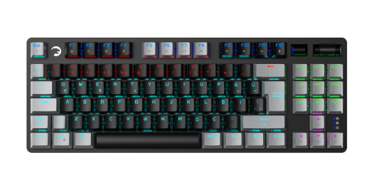 GAMEPOWER EVA 3 BLUE SWITCH 88 MEKANİK KLAVYE RBW