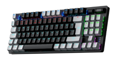 GAMEPOWER EVA 3 BLUE SWITCH 88 MEKANİK KLAVYE RBW