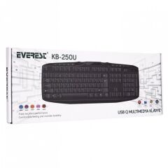 Everest KB-250U USB Multimedia Siyah Kablolu Klavye