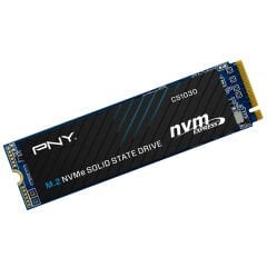 Pny CS1030 PCI-Express 3.0 500 GB M.2 SSD Disk