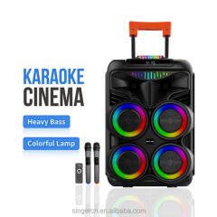 Dahili amplifikatör hoparlör kutusu ile WGY-8888 taşınabilir BT güçlendirilmiş 8 ''hoparlör ekstra bas