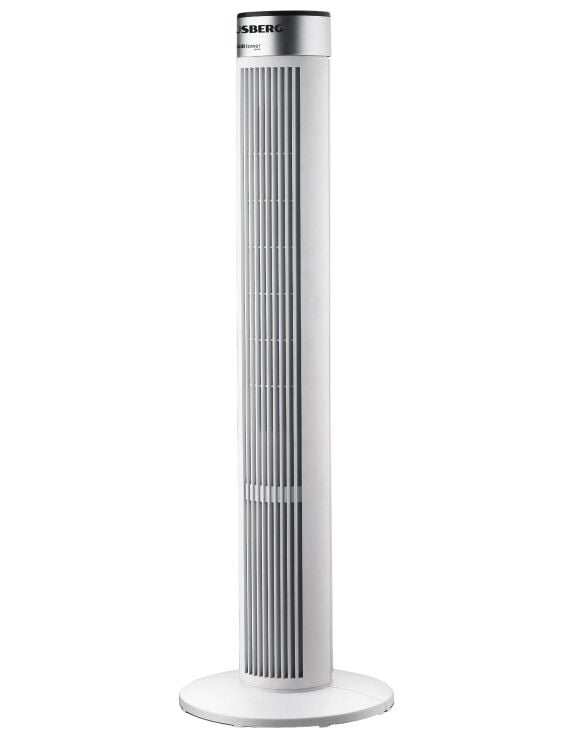 HAUSBERG HB5952 38 İNÇ KULE TİPİ FAN