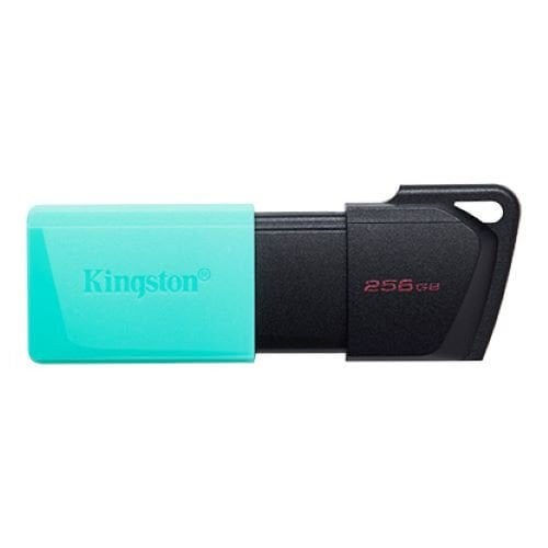 KINGSTON 256GB USB3.2 DATATRAVELER EXODIA USB BELLEK