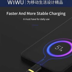 Wiwu Elite ED-101 Type-C USB 1.2 m Şarj Kablosu, Siyah