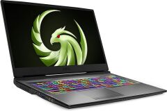 MSI Alpha 17 Ryzen 7 4800H 16GB 512GB SSD 6GB Radeon RX 5600M 17.3'' FreeDOS Gaming Notebook